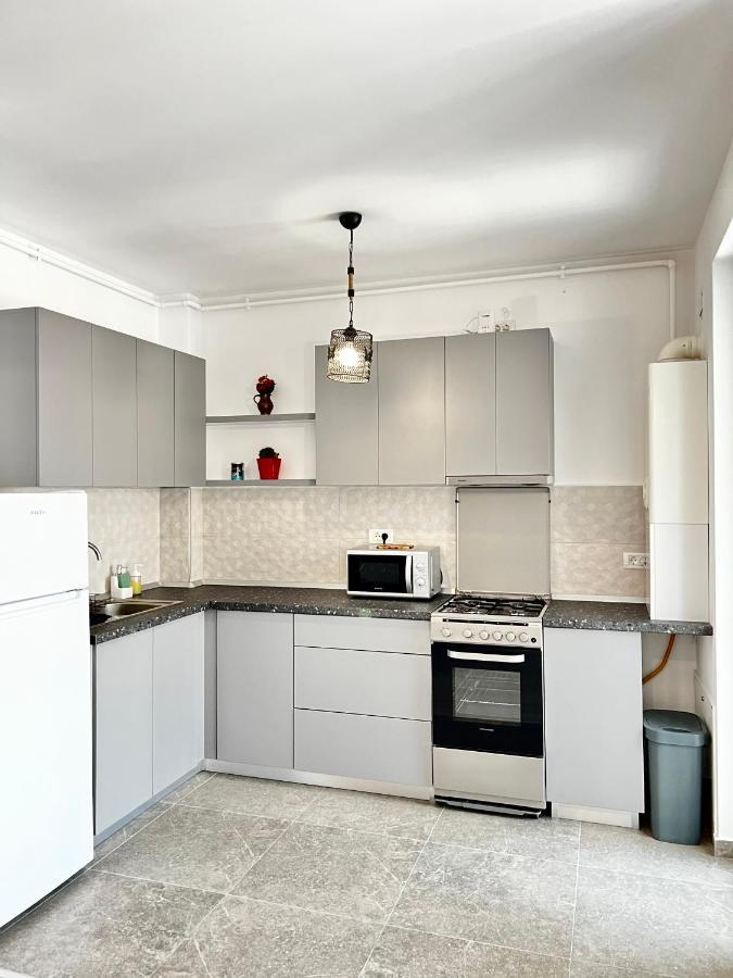 Apartment Mara 2 Тимишоара Экстерьер фото